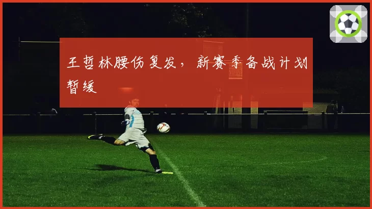 王哲林腰伤复发,新赛季备战计划暂缓