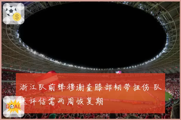 浙江队前锋穆谢奎膝部韧带扭伤 队医评估需两周恢复期