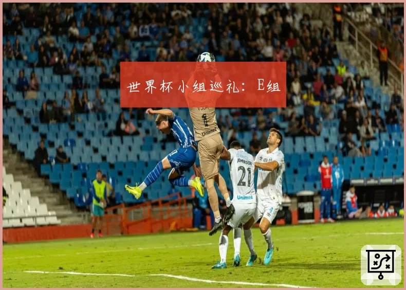 世界杯小组巡礼:E组