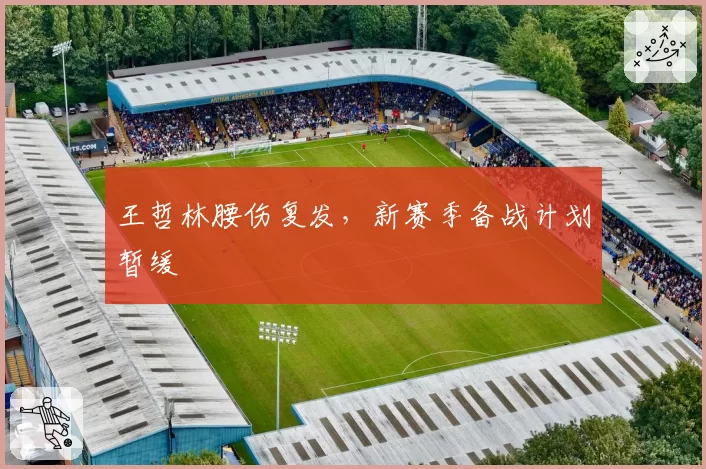王哲林腰伤复发,新赛季备战计划暂缓