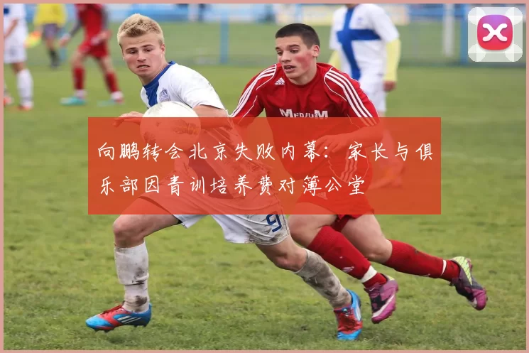 向鹏转会北京失败内幕:家长与俱乐部因青训培养费对簿公堂