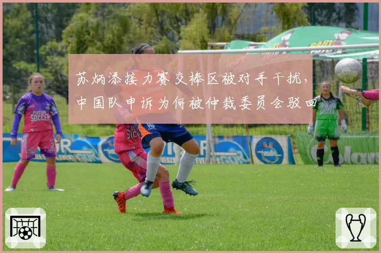 苏炳添接力赛交棒区被对手干扰，中国队申诉为何被仲裁委员会驳回？