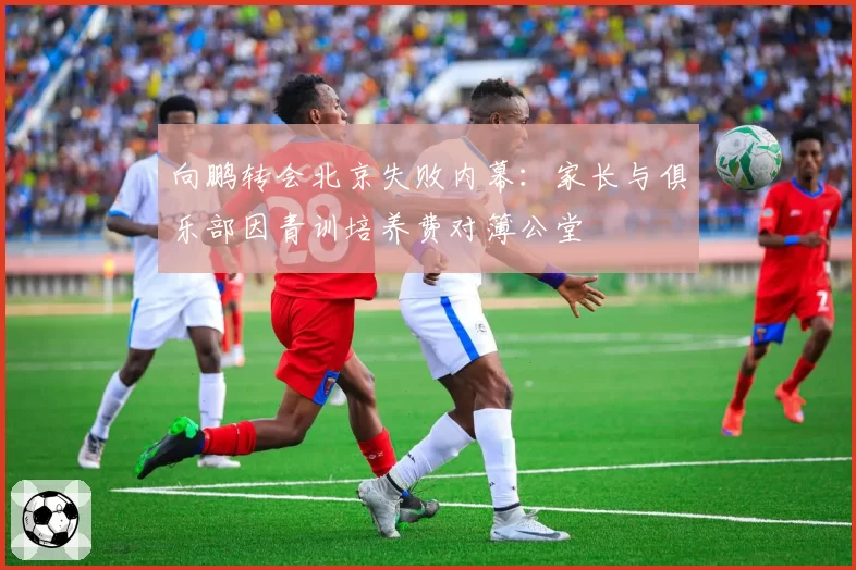 向鹏转会北京失败内幕：家长与俱乐部因青训培养费对簿公堂