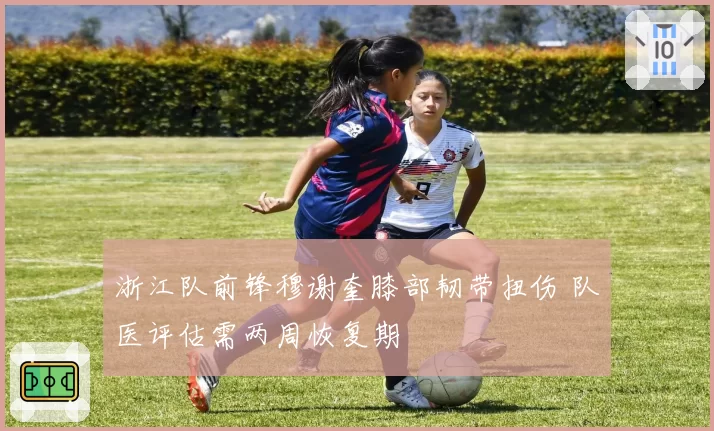 浙江队前锋穆谢奎膝部韧带扭伤 队医评估需两周恢复期