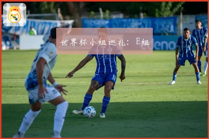世界杯小组巡礼:E组